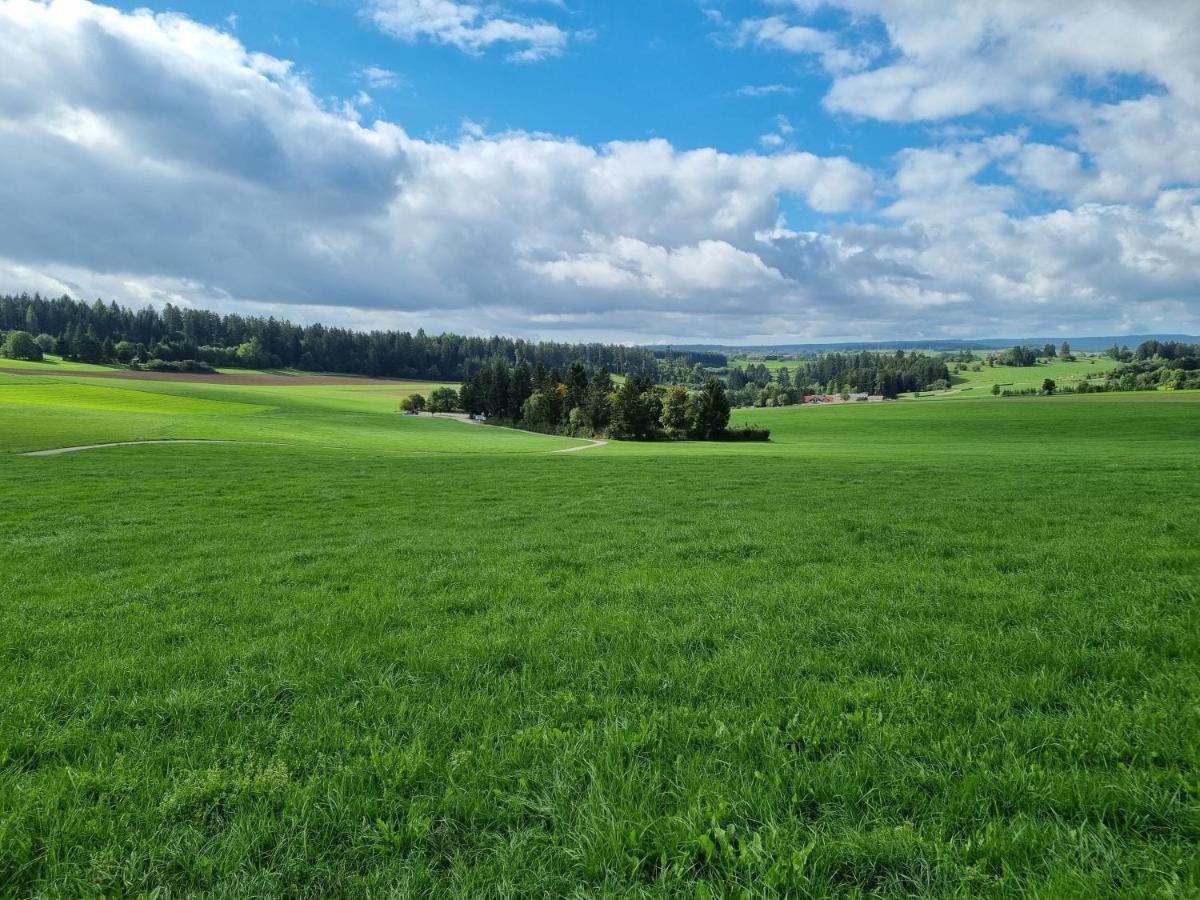 Modern Eingerichtete 3-Zi-Ferienwohnung Zu Vermieten Löffingen Exterior foto